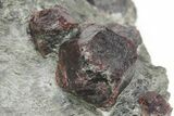 Red Almandine Garnets in Schist - Tyrol, Austria #209540-3